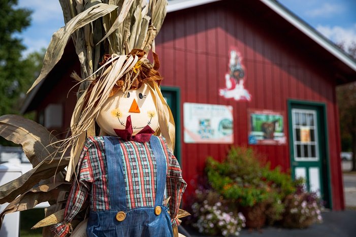 why did the scarecrow win an award